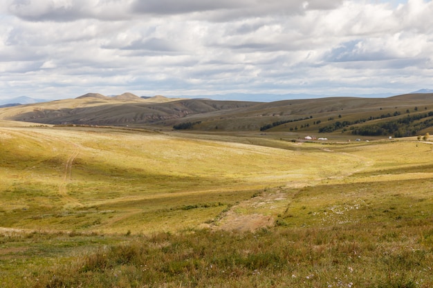 Mongolische Steppe mit Wiese