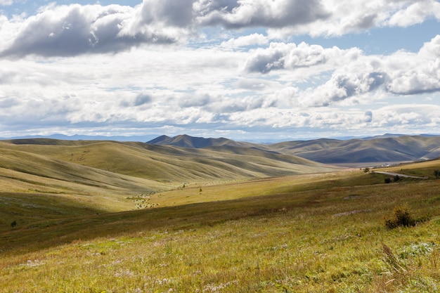 Mongolische Steppe mit Wiese