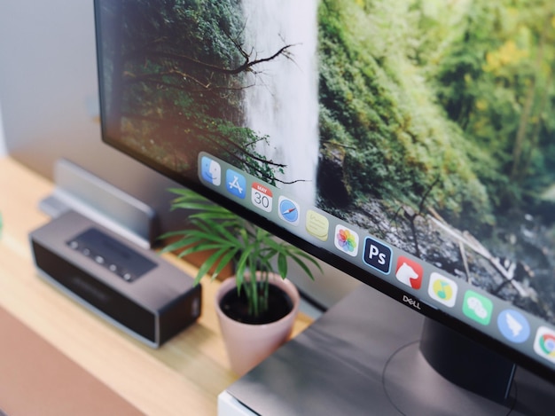 un monitor de computadora con una planta en la pantalla y los iconos en la pantalla