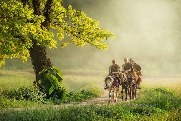 Monje budista con túnica marrón monta a caballo y pide limosna (Invisible en Tailandia), un árbol al lado del que la gente monta a caballo en el campo en Chiangrai, Tailandia