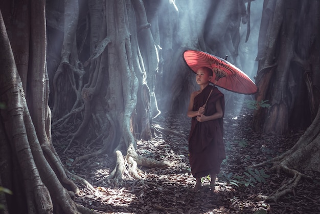 Monjes novatos en Myanmar