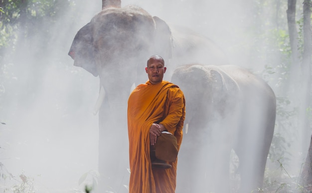 Monjes tailandeses caminando en la selva con elefantes