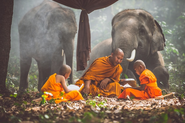 Monjes tailandeses que estudian en la selva con elefantes