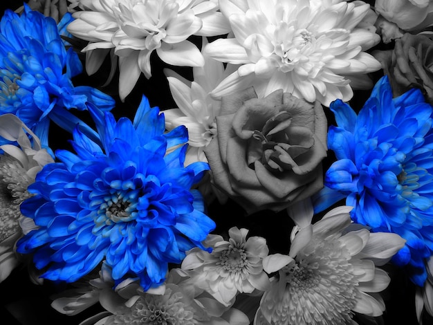 Monocromo, imagen, de, ramo, con, brillante azul, flores Colección de foto