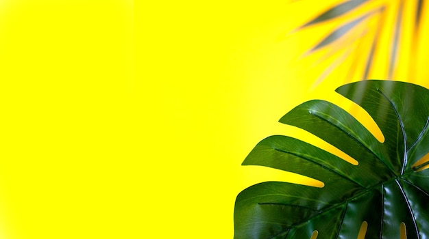 Foto monstera-blatt auf gelbem hintergrund großes banner platz für text