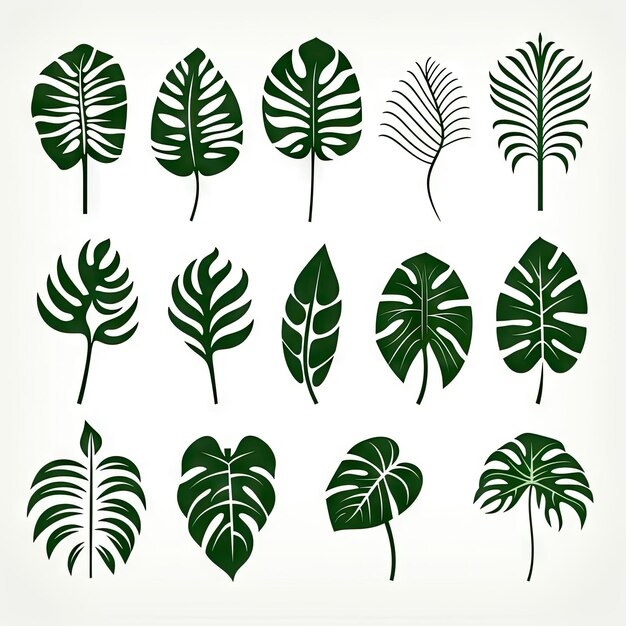 Monstera Blatt Ikonen Sammlung Exotische Blätter Silhouetten Tropische Pflanzen Symbole Einfache Monstera