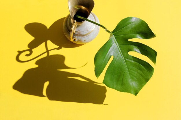 Monstera-Blatt in Messingkrug mit Sonnenlicht und hartem Schatten auf gelbem Papierhintergrund Sommerkonzept mit Palmblatt Kopierraum Flachlag