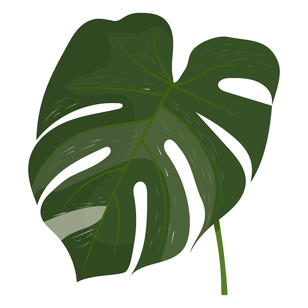 Monstera Blatt png Aufkleber schöne Illustration durchsichtiger Hintergrund