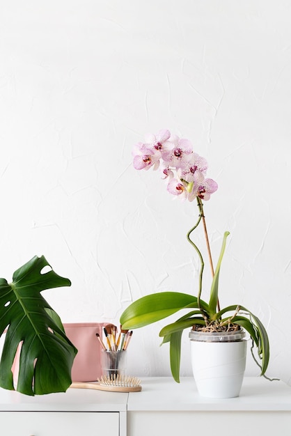 Monstera tropical verde y plantas de orquídeas en la mesa del inodoro en el interior amplio y luminoso de la habitación