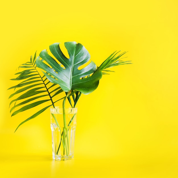 Monstera und Palmblätter im Glas lokalisiert auf hellem Gelb. Minimalismus.