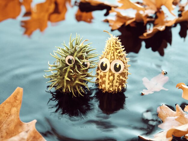 Monstruos puntiagudos hechos a mano con ojos saltones personajes de bricolaje hechos a mano en un estanque de agua con hojas de otoño Ideas creativas para juguetes de otoño hechos a mano con materiales naturales