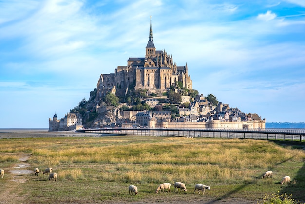 Mont Saint Michel y la Abadía con el mar en marea baja y obedecer el pastoreo