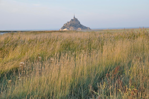 Mont Saint Michel e pântanos salgados