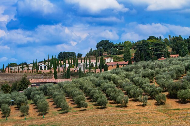 Foto montalcino, italia