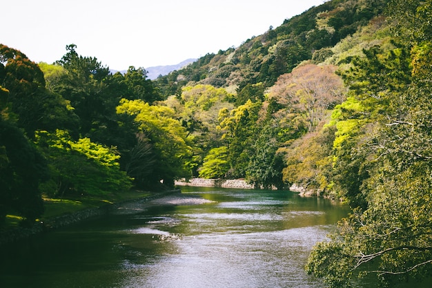 Montaña y ampliamente río