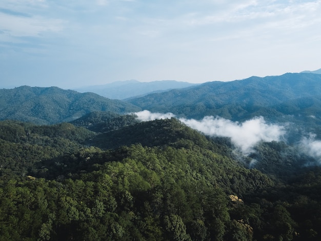 Montaña y árbol en verano Viajes por la naturaleza