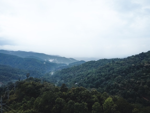 Montaña y árbol en verano Viajes por la naturaleza