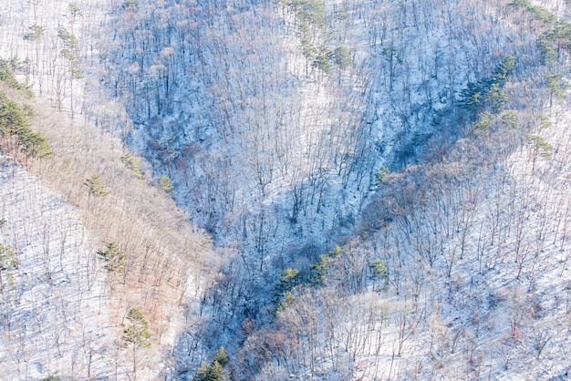 Montaña Balwangsan en invierno, Corea