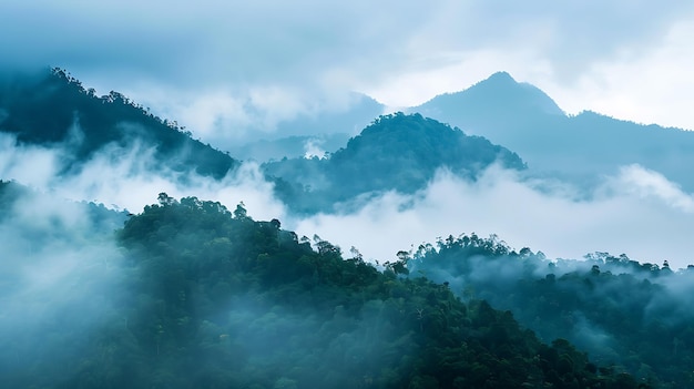 Foto una montaña con un bosque en el fondo