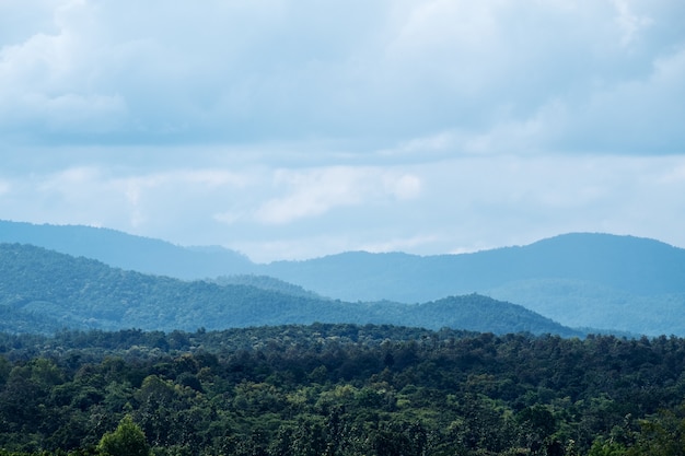 Montaña y bosque tropical