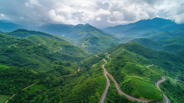 La montaña con el bosque verde exuberante