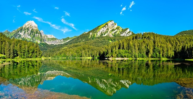 Montaña brunnelistock en el lago obersee en los alpes suizos