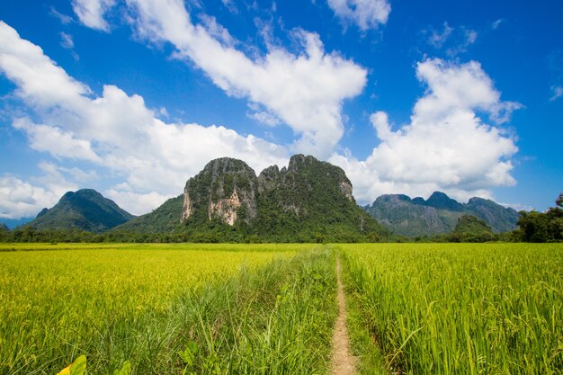 La montaña y campo de maíz con cielo azul en Vang Vieng, Laos