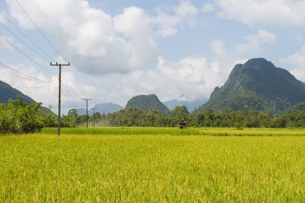 La montaña y campo de maíz con cielo azul en Vang Vieng, Laos