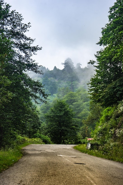 Montaña del Cáucaso en la región georgiana de Guria