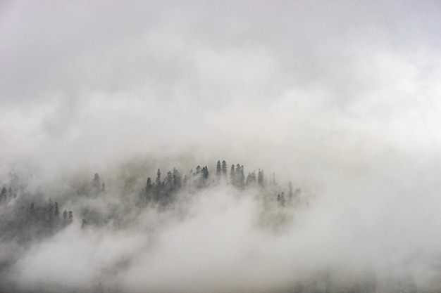 Montaña del Cáucaso en la región de Guria de Georgia