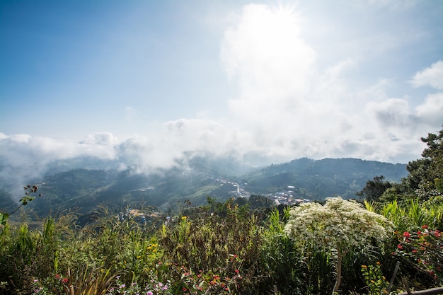 Montaña en Chiang Rai Tailandia