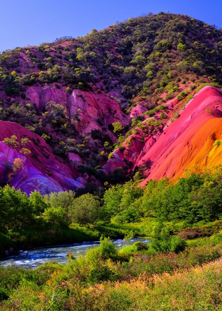 Foto montaña colorida con un río y árboles