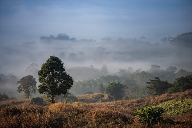 Montaña cubierta de niebla al amanecer.