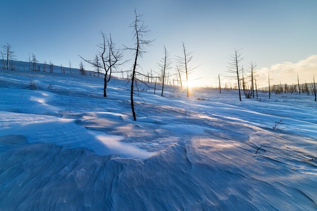 Montaña cubierta de nieve