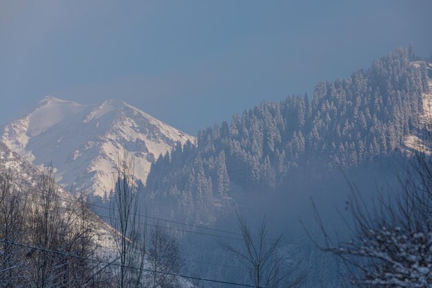 montaña cubierta de nieve