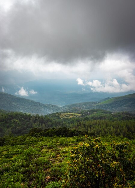 Montaña cubierta de nubes y bosques verdes