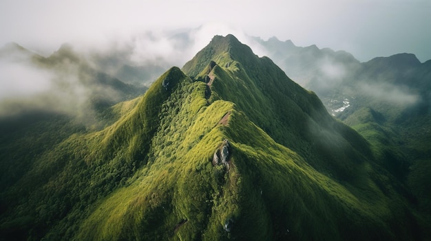 Una montaña con una cubierta verde y la nube de palabras sobre ella.