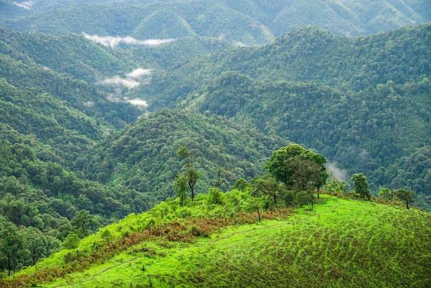 montaña en el fondo en el tiempo de la mañana. paisaje natural en Tailandia.