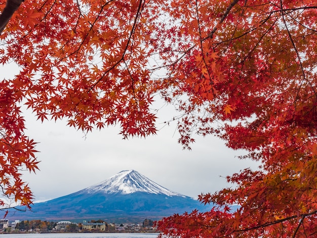 Montaña Fuji con arce rojo en primer plano.