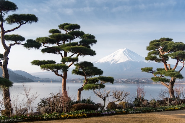 Montaña Fuji fujisan desde el lago Kawaguchigo con jardín en primer plano en Yamanashi