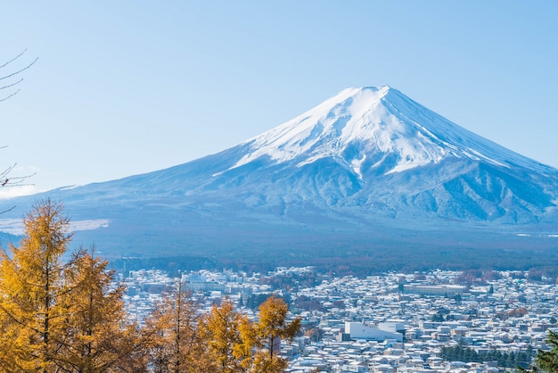 Montaña Fuji San en Kawaguchiko
