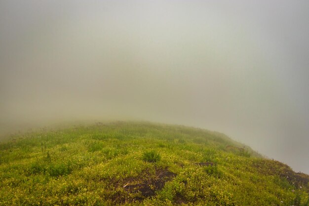 Montaña con hierba verde y nubes gruesas