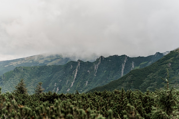 Montaña Hoverla con niebla y lluvia