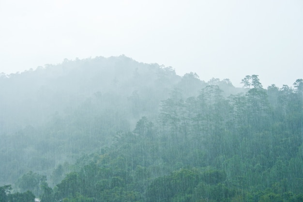 Montaña bajo la lluvia