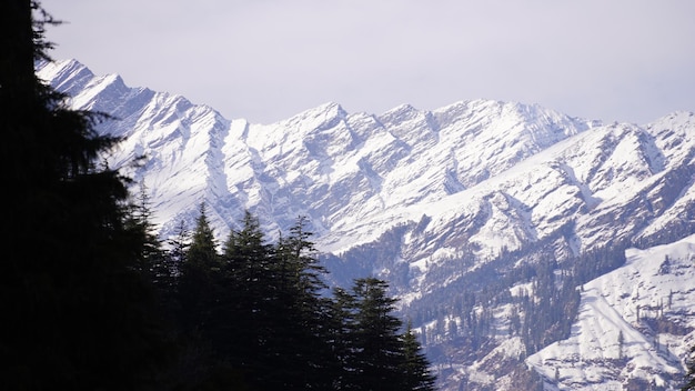 Montaña con nieve todo fondo blanco.