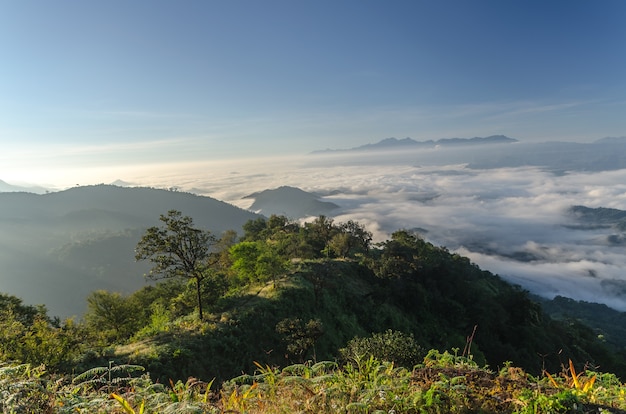 montaña con nubes