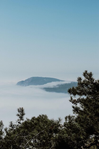 Foto una montaña en las nubes