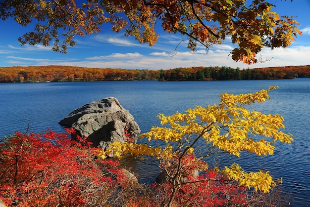 Montaña de otoño con lago