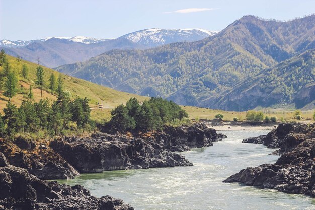 Montaña con paisaje de río y bosque Río salvaje en las montañas Paisaje de verano en Altai Siberia