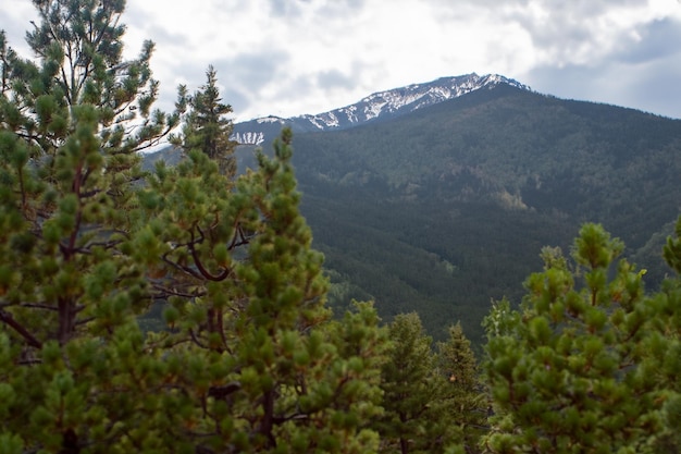 una montaña con la palabra montaña en el fondo